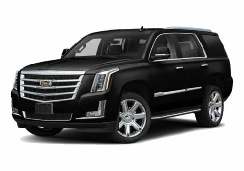 VIP SUV Cadillac-SUV